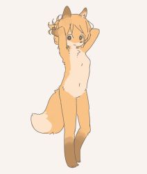 Rule 34 | androgynous, black eyes, fox, full body, furry, gender request, nude, orange hair, short hair, simple background, solo, white background, yagi (s1120411)