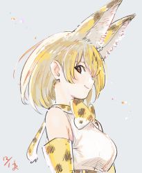Rule 34 | 1girl, animal ears, blush, bow, bowtie, breasts, closed mouth, elbow gloves, extra ears, from side, gloves, heart, heart-shaped pupils, highres, kemono friends, lips, looking at viewer, medium breasts, orange bow, orange bowtie, orange gloves, orange hair, serval (kemono friends), short hair, smile, solo, symbol-shaped pupils, tail, traditional bowtie, upper body, wamawmwm