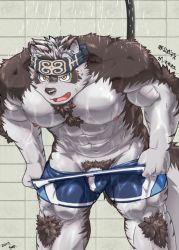 Rule 34 | 1boy, abs, animal ears, bara, blush, boxers, bulge, facial hair, furry, furry male, ganmakaosu, goatee, grey fur, grey hair, headband, horkeu kamui, large pectorals, looking at viewer, male focus, male underwear, manly, multicolored hair, muscular, nipples, pectorals, penis, penis peek, short hair, showering, sideburns, solo, tail, thick thighs, thighs, tokyo houkago summoners, two-tone fur, underwear, undressing, upper body, wet, white fur, wolf boy, wolf ears, wolf tail, yellow eyes