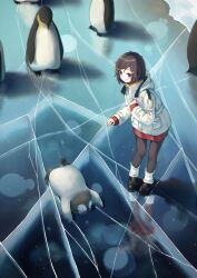 Rule 34 | 1girl, absurdres, animal, bird, black footwear, black hair, black pantyhose, blue eyes, blush, crack, day, enuni, flying sweatdrops, hair ornament, hairclip, highres, ice, jacket, long sleeves, lying, on stomach, open mouth, original, outdoors, pantyhose, penguin, red sweater, reflection, shoes, sleeves past wrists, socks over pantyhose, solo, standing, sweater, swept bangs, white jacket