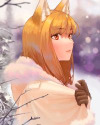 Rule 34 | 1girl, absurdres, animal ears, blush, branch, brown hair, fox ears, gloves, highres, holo, jacket, long hair, looking away, portrait, red eyes, sebyxtan, snow, solo, spice and wolf, winter