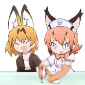 Rule 34 | &gt; &lt;, 2girls, alternate costume, animal ears, animated, blonde hair, bound, bow, bowtie, caracal (kemono friends), chibi, closed eyes, commentary, dodging, elbow gloves, gloves, gradient hair, hat, holding another&#039;s wrist, japari symbol, kemono friends, long hair, looping animation, medium hair, multicolored hair, multiple girls, nurse cap, open mouth, orange bow, orange gloves, orange hair, orange neckwear, print bow, print neckwear, serval (kemono friends), serval print, stab, syringe, taro (tontaro), tied up (nonsexual), traditional bowtie, two-tone hair, video