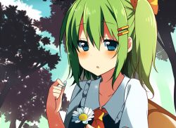 Rule 34 | 1girl, ascot, blue eyes, blue sky, blush, cloud, daiyousei, day, fairy wings, flower, forest, fujishiro emyu, green hair, hair ornament, hair ribbon, hairclip, nature, open mouth, petals, ribbon, side ponytail, sky, solo, touhou, tree, upper body, wings