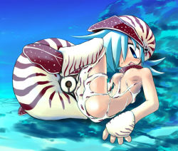 Rule 34 | bestiality, monster girl, nautilus (animal), octopus, sakaki (noi-gren), tagme, tentacles