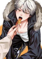 Rule 34 | 2boys, absurdres, akira 26f, candy, commentary request, fed by viewer, feeding, food, from below, green eyes, highres, human dog, licking, lollipop, looking at viewer, looking up, multiple boys, on ground, open mouth, original, sexually suggestive, short hair, solo focus, squatting, tasting, white hair, yaoi