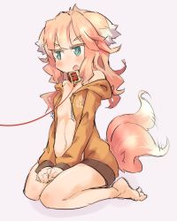Rule 34 | 1girl, animal ears, bad anatomy, bad feet, bad hands, bare shoulders, blush, collar, collarbone, animal collar, dog ears, dog tail, fang, flat chest, green eyes, hood, hoodie, leash, naked hoodie, navel, open clothes, open mouth, orange hair, original, paw print, poorly drawn, seiza, simple background, sitting, sketch, solo, tail, tail wagging, tomcat (moconeko)