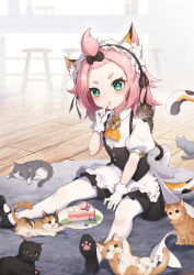 Rule 34 | 1girl, alternate costume, animal, animal ear fluff, animal ears, apron, bangs pinned back, black bow, black dress, black footwear, blueberry, bow, cake, carpet, cat, cat ears, cat girl, cat tail, commentary request, diona (genshin impact), dress, enmaided, finger in own mouth, food, food on face, forehead, fruit, genshin impact, gloves, green eyes, hair bow, highres, indoors, leaf, looking at viewer, maid, maid apron, maid headdress, mary janes, medium hair, on floor, orange neckwear, pantyhose, paw print, pink hair, plate, puffy short sleeves, puffy sleeves, shirt, shoes, short dress, short eyebrows, short sleeves, sitting, solo, stool, strawberry, tail, thick eyebrows, white apron, white gloves, white pantyhose, white shirt, wooden floor, yukiri (l ii)