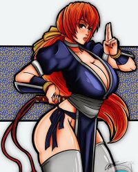 Rule 34 | 1girl, ass, astromaticart, breasts, brown hair, cleavage, dead or alive, highres, kasumi (doa), large breasts, long hair, ninja, pelvic curtain, ponytail, short sleeves, sword, thighhighs, weapon
