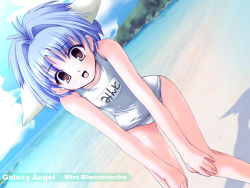 Rule 34 | 00s, 1girl, animal ears, beach, blue hair, character name, cloud, copyright name, dutch angle, galaxy angel, green eyes, looking at viewer, mint blancmanche, name tag, ocean, one-piece swimsuit, outdoors, school swimsuit, short hair, sky, smile, solo, swimsuit, white one-piece swimsuit, white school swimsuit, yellow eyes