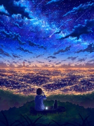 Rule 34 | 1girl, absurdres, au ito, cat, city, city lights, cityscape, cloud, cloudy sky, commentary request, dark, falling star, from behind, highres, hill, landscape, night, night sky, original, outdoors, rooftop, scenery, sky, skyline, star (sky), starry sky
