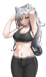 Rule 34 | 1girl, animal ears, arknights, armpits, arms up, atsukii, bare arms, bare shoulders, black pants, black sports bra, breasts, brown eyes, cat ears, cowboy shot, crop top, hair between eyes, highres, horns, long hair, looking at viewer, medium breasts, pants, panty straps, ponytail, schwarz (arknights), silver hair, simple background, solo, sports bra, standing, stomach, very long hair, white background