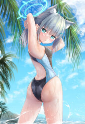 Rule 34 | 1girl, animal ear fluff, animal ears, ass, black one-piece swimsuit, blue archive, blue eyes, blue sky, breasts, c.u.wa, cloud, competition swimsuit, covered navel, cowboy shot, cross hair ornament, day, extra ears, from behind, grey hair, hair ornament, halo, highres, looking at viewer, looking back, low ponytail, medium breasts, medium hair, mismatched pupils, multicolored clothes, multicolored swimsuit, official alternate costume, one-piece swimsuit, outdoors, palm tree, shiroko (blue archive), shiroko (swimsuit) (blue archive), sky, solo, swimsuit, tree, twisted torso, wolf ears