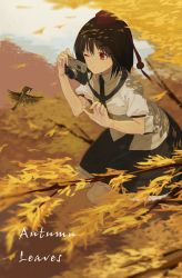Rule 34 | 1girl, absurdres, akimikan (2.5deciliter), animal, autumn leaves, bird, black hair, branch, camera, collared shirt, commentary, day, dress shirt, english text, eyebrows, forest, hat, highres, leaf, nature, necktie, one eye closed, outdoors, pom pom (clothes), puffy short sleeves, puffy sleeves, red eyes, shameimaru aya, shirt, short hair, short sleeves, skirt, sky, solo, sparrow, taking picture, text focus, tokin hat, touhou, tree