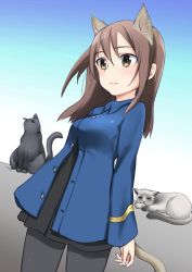Rule 34 | 1girl, animal ears, aohashi ame, black dress, black pantyhose, blue jacket, brown eyes, brown hair, cat, cat ears, cat tail, closed mouth, commentary request, cowboy shot, dress, dutch angle, eleonore giovanna gassion, highres, jacket, long hair, long sleeves, looking to the side, luminous witches, medium hair, pantyhose, short dress, smile, solo, standing, tail, world witches series
