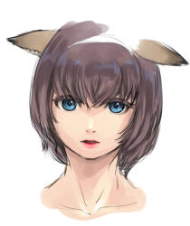 Rule 34 | 1girl, animal ears, adventurer (ff11), blue eyes, brown pupils, cactus41747280, cat ears, cat girl, collarbone, colored eyelashes, final fantasy, final fantasy xi, hair between eyes, looking at viewer, mithra (ff11), open mouth, portrait, purple hair, short hair, simple background, solo, white background