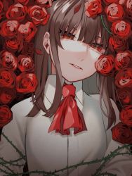 Rule 34 | 1girl, ascot, blunt bangs, breasts, brown hair, collarbone, commentary request, flower, grey shirt, ib (ib), ib (kouri), long hair, looking at viewer, niwatori panda, plant, red ascot, red eyes, red flower, red rose, rose, shirt, solo, thorns, upper body