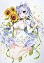 Rule 34 | 1girl, absurdres, animal ears, blue eyes, blush, bracelet, breasts, cat ears, cleavage, collar, collarbone, dress, flower, full body, high heels, highres, holding, jewelry, long hair, medium breasts, nardack, official art, open mouth, petals, ribbon, scan, short dress, silver hair, simple background, sleeveless, smile, solo, sunflower, white dress, world teacher -isekaishiki kyouiku agent-