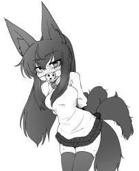 Rule 34 | 1girl, anal tail, animal ears, arms behind back, belt collar, black hair, black skirt, black tail, black thighhighs, blush, bound, bound arms, breasts, butt plug, collar, cowboy shot, fake tail, fang, fox ears, fox girl, fox tail, gag, greyscale, highres, kanaya azami, leaning forward, long hair, medium breasts, monochrome, multiple tails, sakifox, saliva, sex toy, shirt, sidelocks, simple background, skirt, solo, standing, sweat, tail, thighhighs, ukagaka, white background
