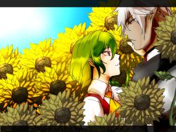 Rule 34 | 00s, 1boy, 1girl, armor, buront, crossover, final fantasy, final fantasy xi, flower, green hair, kazami yuuka, letterboxed, maruman, pointy ears, red eyes, short hair, silver hair, sunflower, the iron of yin and yang, touhou, vest
