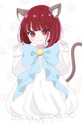 Rule 34 | 1girl, aged down, animal ears, arima kana, blue bow, blue bowtie, blush, bob cut, bow, bowtie, cat ears, cat girl, cat tail, closed mouth, highres, inverted bob, looking at viewer, medium hair, oshi no ko, red eyes, red hair, shirt, short hair, smile, solo, tail, watano yuki, white shirt