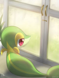 Rule 34 | closed mouth, commentary request, creatures (company), game freak, gen 5 pokemon, glass, highres, looking outside, looking to the side, nintendo, no humans, plant, pokemon, pokemon (creature), potted plant, red eyes, ryuma210, signature, smile, snivy, solo, window
