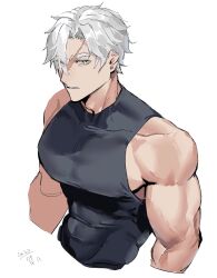 Rule 34 | 003 ssq, 1boy, bara, bare shoulders, cropped torso, from above, highres, large pectorals, looking at viewer, male focus, muscular, muscular male, original, pectorals, scar, scar on face, scar on forehead, scar on nose, shirt, short hair, sidepec, sleeveless, sleeveless shirt, solo, taut clothes, taut shirt, thick eyebrows, veins, veiny arms, white hair
