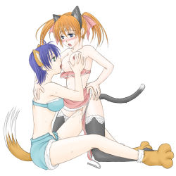 Rule 34 | 00s, 2girls, animal ears, black legwear, blush, bra, breast sucking, breasts, cat ears, cat tail, female focus, fox ears, fox tail, frottage, full body, grabbing, grabbing another&#039;s breast, green eyes, licking, lingerie, lyrical nanoha, mahou shoujo lyrical nanoha, mahou shoujo lyrical nanoha strikers, medium breasts, midriff, multiple girls, nipples, paw shoes, purple hair, pussy, pussy juice, short hair, simple background, small breasts, strapless, strapless bra, subaru nakajima, sweat, tail, teana lanster, thighhighs, twintails, underwear, white background, yuri