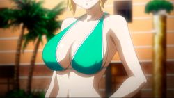 Rule 34 | 1girl, animated, animated gif, bikini, blonde hair, bouncing breasts, bra, breasts, charles bonaparte, freezing (series), head out of frame, large breasts, solo, standing, swimsuit, underwear