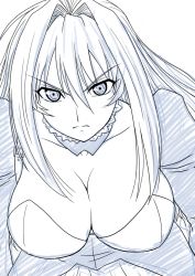 Rule 34 | 00s, 1girl, angry, blue theme, breasts, cleavage, female focus, hair intakes, large breasts, long hair, misnon the great, monochrome, sekirei, simple background, solo, tsukiumi