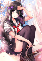 Rule 34 | 1girl, arm up, bad id, bad pixiv id, black footwear, black hair, black sailor collar, black skirt, black thighhighs, blush, bow, commentary request, copyright notice, copyright request, curtains, flower, hair between eyes, hair bow, highres, holding, knees up, loafers, long hair, looking at viewer, neckerchief, official art, parted lips, petals, pierorabu, pleated skirt, purple bow, purple eyes, red neckerchief, sailor collar, school uniform, serafuku, shirt, shoes, short sleeves, sitting in window, skirt, solo, teeth, thighhighs, transparent, upper teeth only, very long hair, white flower, white shirt, window