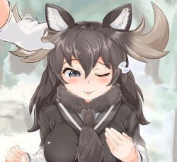 Rule 34 | 1girl, animal ears, black hair, blush, commentary request, day, flying sweatdrops, fur collar, gloves, grey hair, hair between eyes, hand on own chest, hands up, highres, kemono friends, long hair, long sleeves, moose (kemono friends), moose ears, outdoors, smile, solo focus, sweater, upper body, wonderful waon