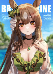 Rule 34 | 1girl, animal ears, bare shoulders, bikini, black choker, blurry, blurry background, blush, breasts, brown hair, choker, cleavage, collarbone, comiket 100, cover, cover page, depth of field, green bikini, green ribbon, grey hair, hair ribbon, highres, horse ears, jewelry, kudou (sikisiki0000), large breasts, long hair, looking at viewer, mole, mole on breast, multicolored hair, necklace, off shoulder, open clothes, open shirt, orange eyes, parted lips, ribbon, ring, satono diamond (umamusume), shirt, solo, swimsuit, two-tone hair, umamusume, upper body, white shirt