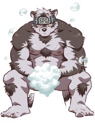 Rule 34 | 1boy, ainu, ainu clothes, animal ears, bara, bathing, bubble, chest hair, completely nude, convenient censoring, full body, furry, furry male, grey fur, grey hair, headband, highres, horkeu kamui, large pectorals, male focus, muscular, muscular male, nipples, nude, pectorals, shirako (kirupi), short hair, sitting, solo, tail, tokyo houkago summoners, two-tone fur, washing, wet, white fur, wolf boy, wolf ears, wolf tail, yellow eyes