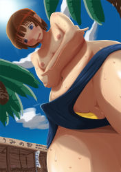 Rule 34 | 1girl, androgynous, banana, blue male swimwear, blue swim briefs, character request, copyright request, flat chest, food, fruit, fruit insertion, male swimwear, monmon1990, nipples, object insertion, reverse trap, swim briefs, swimsuit, topless, vaginal, vaginal object insertion
