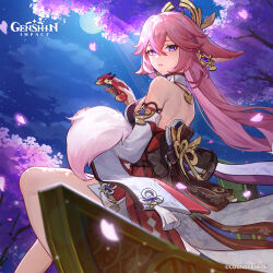 1girl absurdres animal_ears backless_outfit backless_shirt bare_back bare_shoulders breasts cherry_blossoms comb commentary detached_sleeves english_commentary fox_ears genshin_impact highres holding holding_comb long_hair long_sleeves looking_at_viewer medium_breasts night night_sky official_art outdoors parted_lips petals pink_hair purple_eyes red_skirt shirt sitting skirt sky solo very_long_hair white_shirt yae_miko