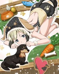 Rule 34 | 1girl, animal ears, back, dachshund, dog, erica hartmann, female focus, official art, solo, strike witches, top-down bottom-up, world witches series