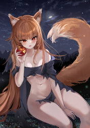 Rule 34 | 1girl, absurdres, animal ears, apple, bare shoulders, blush, breasts, delfin59, food, food bite, fruit, highres, holding, holding food, holding fruit, holo, long hair, looking at viewer, medium breasts, moon, navel, night, night sky, outdoors, parted lips, red eyes, sitting, sky, solo, spice and wolf, star (sky), tail, thighs, torn clothes, very long hair, wheat field, wolf ears, wolf girl, wolf tail