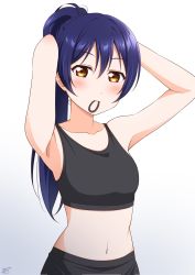 Rule 34 | 1girl, armpits, arms up, black sports bra, blue hair, blush, closed mouth, collarbone, commentary request, hair tie in mouth, haruharo (haruharo 7315), highres, long hair, looking at viewer, love live!, love live! school idol project, midriff, mouth hold, navel, ponytail, simple background, smile, solo, sonoda umi, sports bra, stomach, tying hair, underwear, upper body, white background, yellow eyes