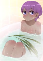 Rule 34 | 1girl, bath, bathing, bathtub, blush, breasts, closed mouth, collarbone, dark-skinned female, dark skin, fate/prototype, fate/prototype: fragments of blue and silver, fate (series), hair between eyes, hassan of serenity (fate), highres, i.u.y, indoors, knees up, nude, partially submerged, purple eyes, purple hair, small breasts, smile, solo, tile wall, tiles, water, wet, wet hair