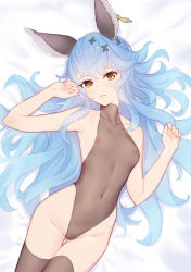 Rule 34 | 1girl, animal ears, blue hair, blush, breasts, brown thighhighs, cleft of venus, collarbone, earrings, erune, female pubic hair, ferry (granblue fantasy), gluteal fold, granblue fantasy, hair between eyes, hair ornament, highleg, highleg leotard, highres, jewelry, leotard, lips, long hair, looking at viewer, lying, navel, nipples, on back, parted lips, pubic hair, pussy, rabbit ears, see-through, single earring, small breasts, solo, thigh gap, thighhighs, uncensored, wavy hair, x hair ornament, yellow eyes, yellowpaint.
