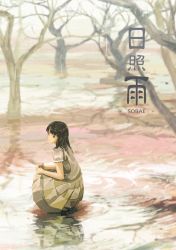 Rule 34 | 1girl, black eyes, black hair, blurry, blurry background, braid, commentary request, cover, cover page, depth of field, dress, french braid, from side, gemi, long hair, looking at viewer, original, puffy short sleeves, puffy sleeves, short sleeves, smile, solo, squatting, tree