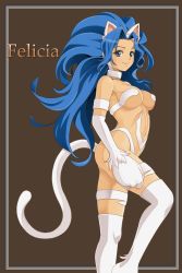 Rule 34 | 1girl, animal ears, animal hands, ass, bad id, bad pixiv id, basuchian, big hair, blue eyes, blue hair, breasts, brown background, capcom, cat ears, cat tail, character name, claws, felicia (vampire), fur, hairband, highres, large breasts, light smile, long hair, looking at viewer, matching hair/eyes, navel, solo, standing, tail, thighhighs, vampire (game)