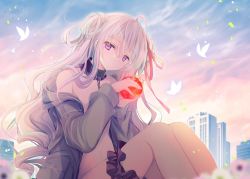 Rule 34 | 1girl, ahoge, animal, apple, bug, building, butterfly, chain, closed mouth, cloud, cloudy sky, collar, commentary, double bun, feet out of frame, food, fruit, grey hair, grey jacket, hair between eyes, hair bun, hair ribbon, holding, holding food, insect, jacket, knees up, long hair, long sleeves, looking at viewer, metal collar, naked jacket, navel, off shoulder, open clothes, open jacket, original, outdoors, puffy long sleeves, puffy sleeves, purple eyes, red apple, red ribbon, ribbon, shirogane hina, sitting, sky, solo, sunset, symbol-only commentary, very long hair