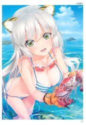 Rule 34 | 1girl, :d, absurdres, animal ears, bikini, blue bikini, blush, breasts, cat ears, cloud, crab, day, goggles, goggles around neck, green eyes, happoubi jin, highres, holding, island, long hair, looking at viewer, ocean, open mouth, parted lips, scan, side-tie bikini bottom, silver hair, sky, smile, solo, striped bikini, striped clothes, swimsuit, tail, tiger ears, tiger tail, toranoana, wading, water, wet