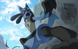 Rule 34 | cloud, commentary request, creatures (company), day, fangs, from below, furry, game freak, gen 4 pokemon, grass, legs apart, looking at viewer, lucario, nintendo, open mouth, outdoors, pokemon, pokemon (creature), red eyes, rozu ki, sky, solo, tongue, yellow fur