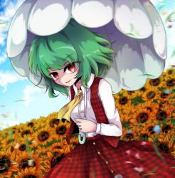 Rule 34 | 1girl, blue sky, blurry, blurry background, breasts, buttons, collared shirt, day, field, flower, flower field, green hair, highres, holding, holding umbrella, kazami yuuka, looking at viewer, medium breasts, medium hair, motion blur, open mouth, outdoors, red skirt, red vest, shen li, shirt, skirt, skirt set, sky, solo, sunflower, sunflower field, sunflower petals, touhou, umbrella, vest, white shirt, yellow neckwear