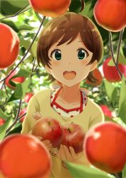 Rule 34 | 1girl, :d, ahoge, apple, bad id, bad pixiv id, blurry, blurry background, blurry foreground, blush, brown hair, commentary request, food, fruit, green eyes, highres, idolmaster, idolmaster million live!, kinoshita hinata, looking at viewer, open mouth, plant, short hair, siokazunoko, smile, solo