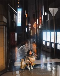 Rule 34 | 1girl, baggy clothes, black hair, city lights, commentary, completion time, dog, english commentary, highres, legs together, looking up, medium hair, neon lights, original, rain, reflection, reflective water, sam yang, shiba inu, shoes, sitting, skateboard, sneakers, squatting, umbrella, white footwear