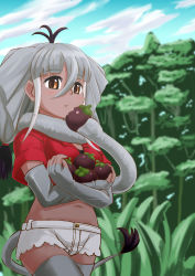 Rule 34 | 1girl, animal ears, antenna hair, black hair, blunt bangs, breasts, brown eyes, buttons, carrying, cleavage, cowboy shot, crop top, cropped shirt, crossed arms, dark-skinned female, dark skin, day, eating, elbow gloves, elephant ears, elephant tail, extra ears, fingerless gloves, food, fruit, gloves, grey gloves, grey hair, grey shorts, grey thighhighs, hair between eyes, highres, holding, kawanami eito, kemono friends, long hair, low-tied long hair, low twintails, mangosteen, medium breasts, midriff, multicolored hair, navel, outdoors, parted lips, red shirt, scarf, shirt, short shorts, shorts, sidelocks, solo, stomach, sumatran elephant (kemono friends), tail, thighhighs, tree, twintails, walking