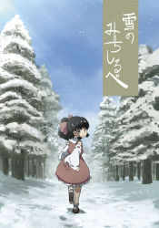 Rule 34 | 1girl, bad id, bad pixiv id, black hair, detached sleeves, female focus, forest, full body, hakurei reimu, japanese clothes, kuma (2ch), kuma (marisaplayer), miko, nature, outdoors, perfect cherry blossom, sky, snow, solo, touhou